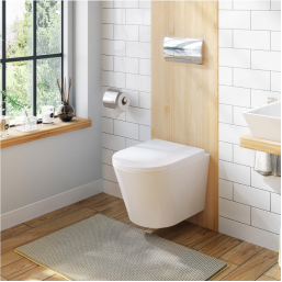 Wall Hung Toilet Installations and Repairs
